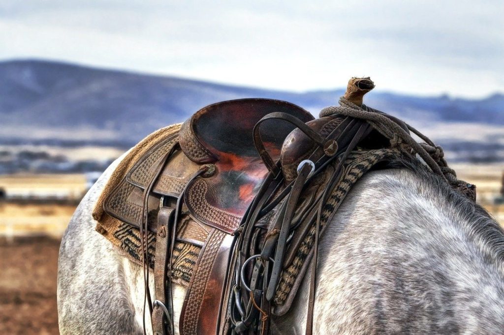 Tapis de selle cheval